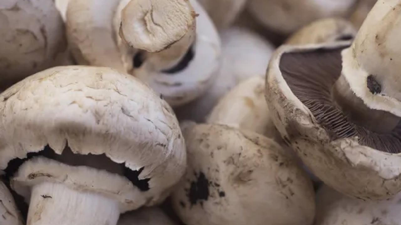 Foto - Açlık hissini bitiren 10 altın dokunuş! Uzmanından Ramazan'da daha enerjik olmanın formülü