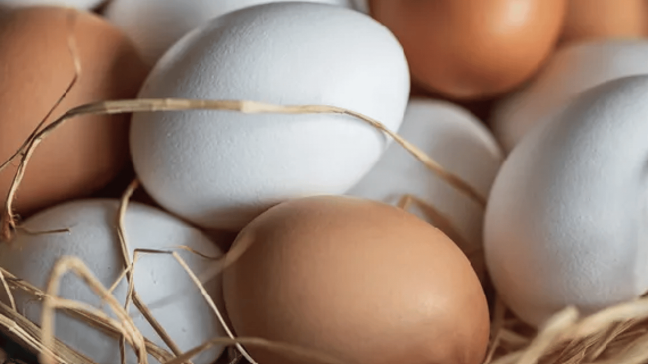 Foto - Açlık hissini bitiren 10 altın dokunuş! Uzmanından Ramazan'da daha enerjik olmanın formülü