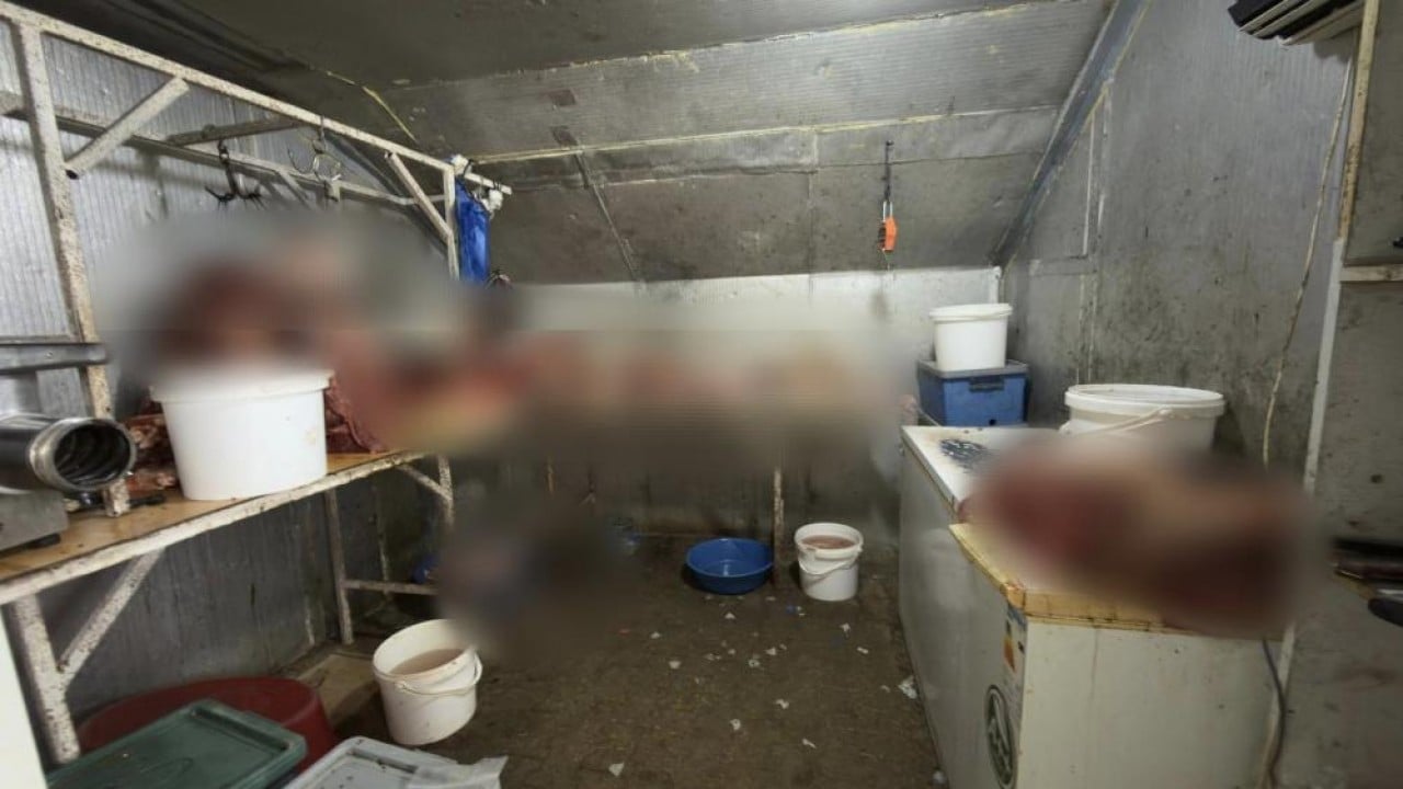 Foto - Adalar’daki yüzlerce at kim vurduya gitmişti Çeyrek ton at eti ele geçirildi