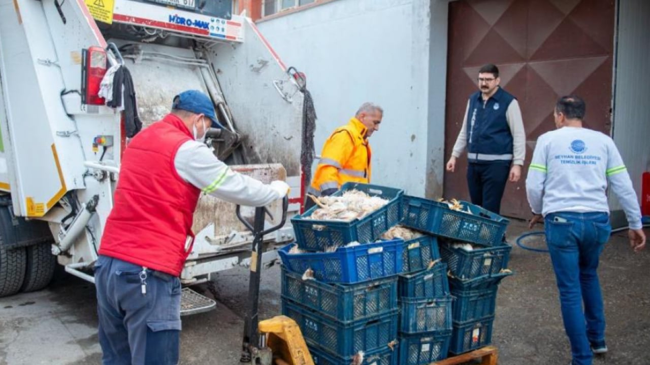 Foto - Adana’da mide bulandıran görüntü! 25 kasa kokmuş tavuk
