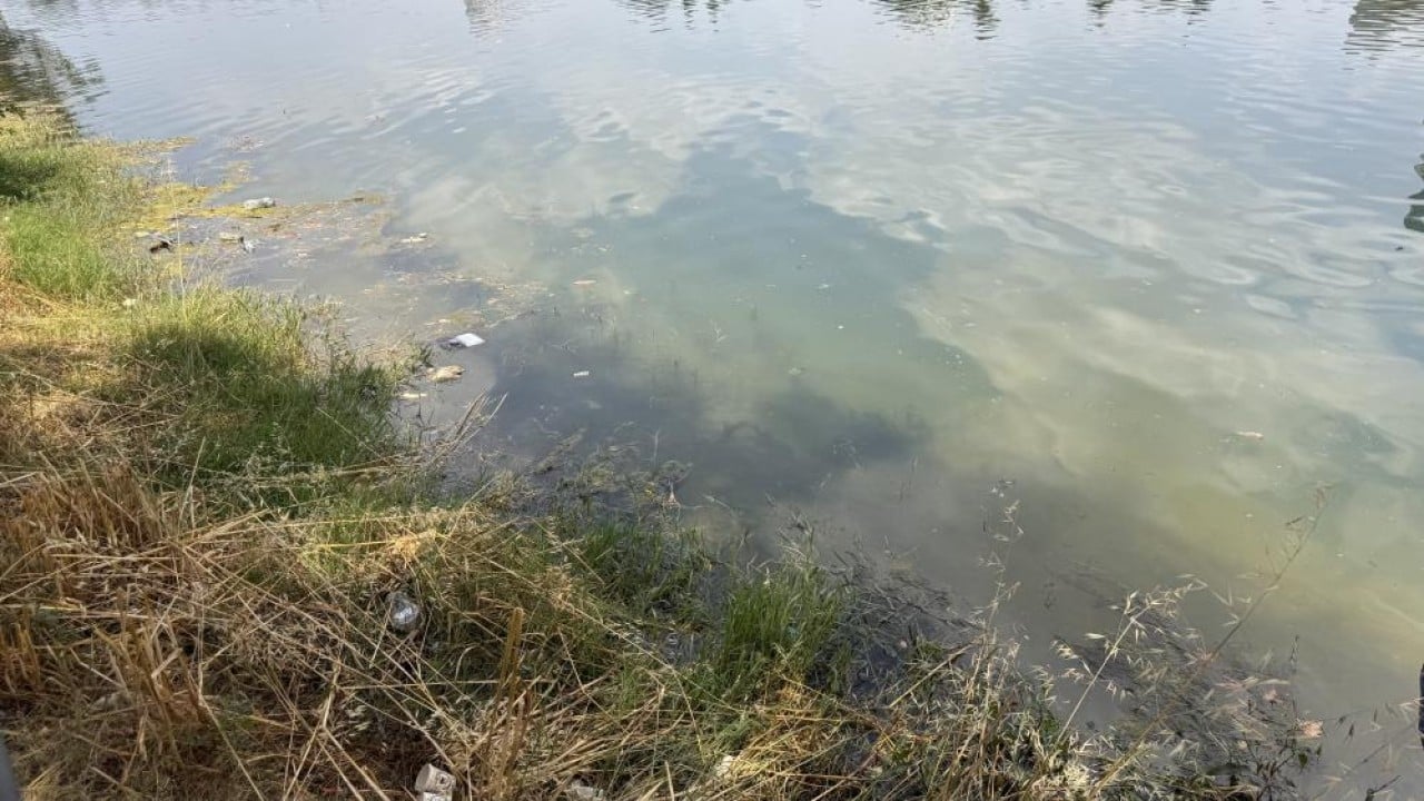 Foto - Adana’da Seyhan Nehri ve çevresindeki kirliliğe vatandaştan tepki! Nehirde pislik kol geziyor