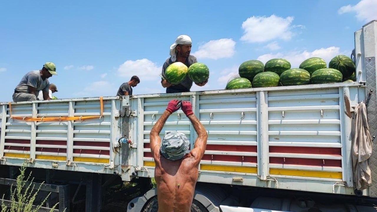 Foto - Adana'da sıcak hava karpuz işçilerini yıldırmadı: 40 derece sıcakta işçiler ekmek parası için çalışıyor