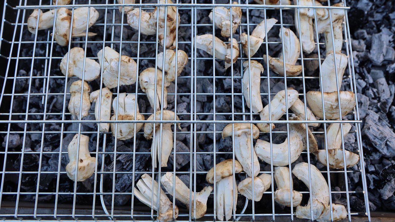 Adeta servet toplanıyor! Japonların bayıldığı bu lezzetin fiyatı etle yarışıyor