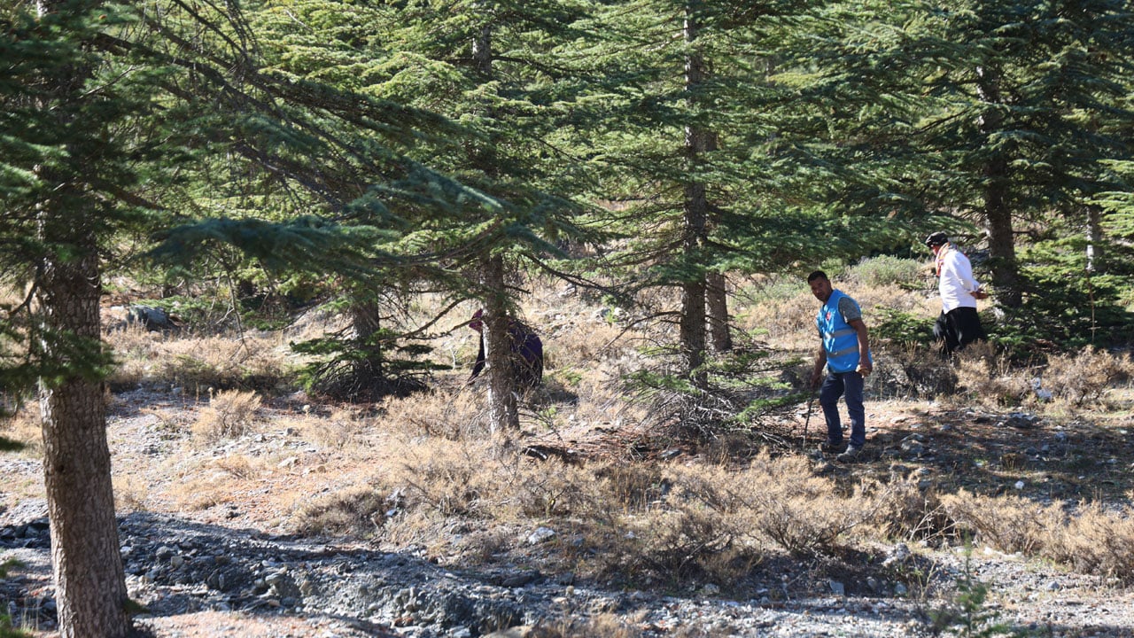 Foto - Adeta servet toplanıyor! Japonların bayıldığı bu lezzetin fiyatı etle yarışıyor