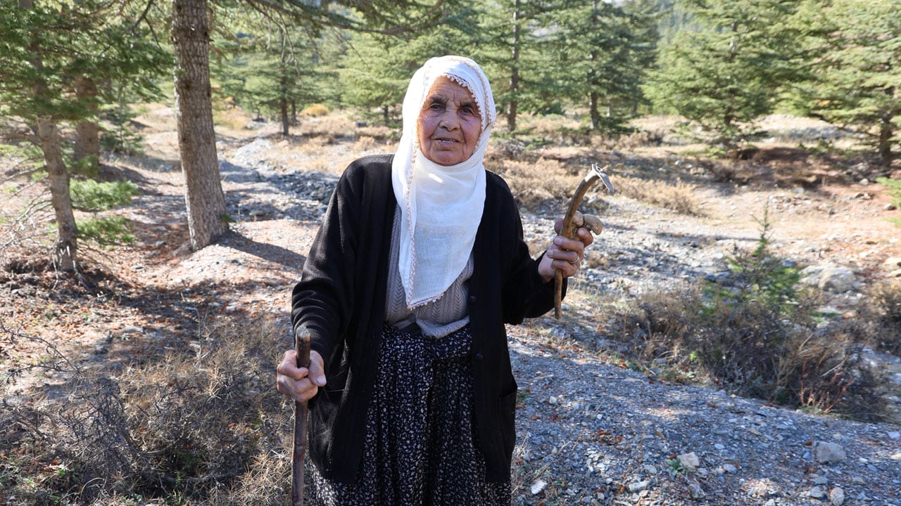 Foto - Adeta servet toplanıyor! Japonların bayıldığı bu lezzetin fiyatı etle yarışıyor