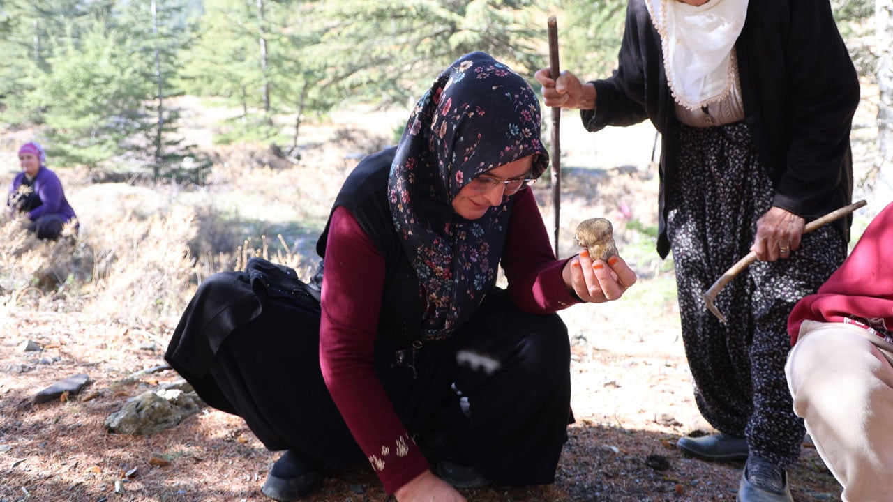 Foto - Adeta servet toplanıyor! Japonların bayıldığı bu lezzetin fiyatı etle yarışıyor