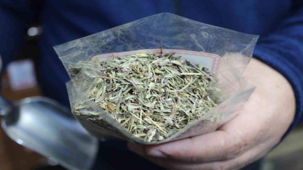 Foto - Adeta toprak altından hazine fışkırıyor! Köylünün gizli serveti kış gelince gram altınla yarışıyor