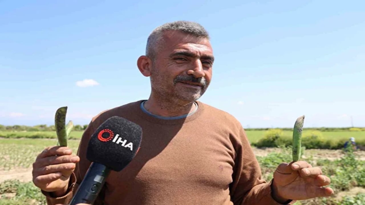 Foto - Adı "Mardin canavarı" kendi servet değerinde! Öyle bir talep var ki kapış kapış gidiyor