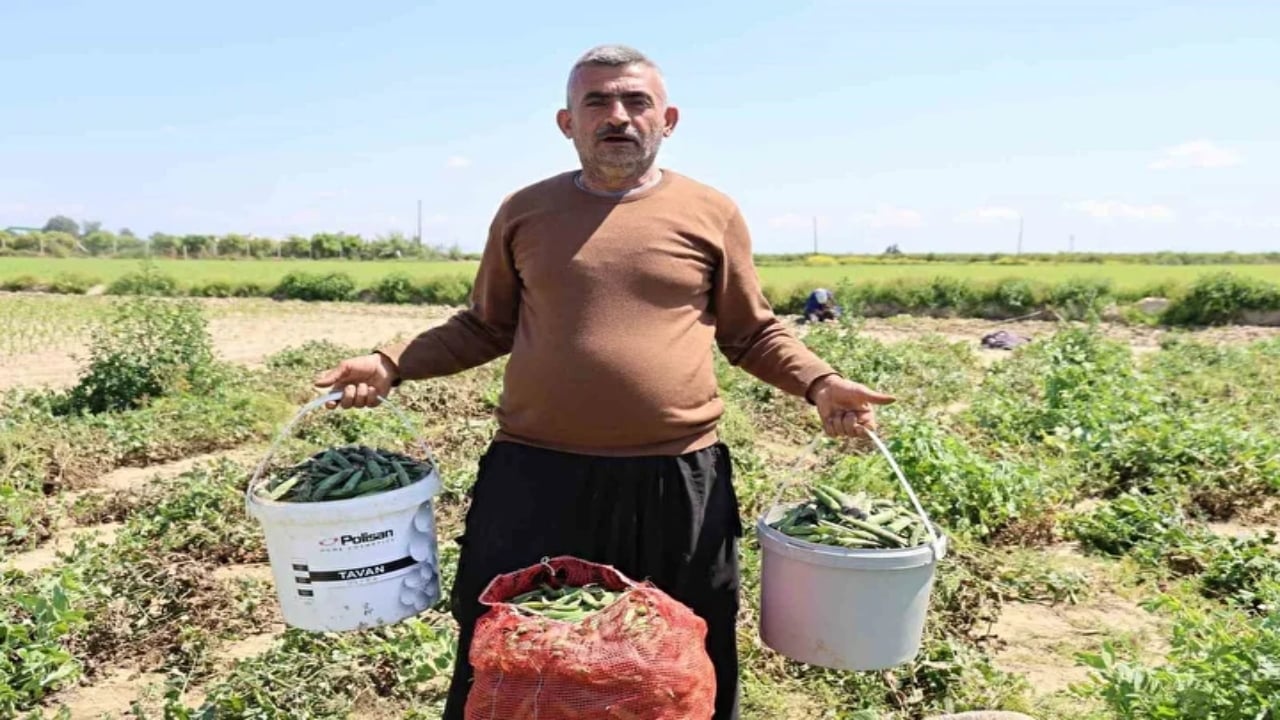 Foto - Adı "Mardin canavarı" kendi servet değerinde! Öyle bir talep var ki kapış kapış gidiyor
