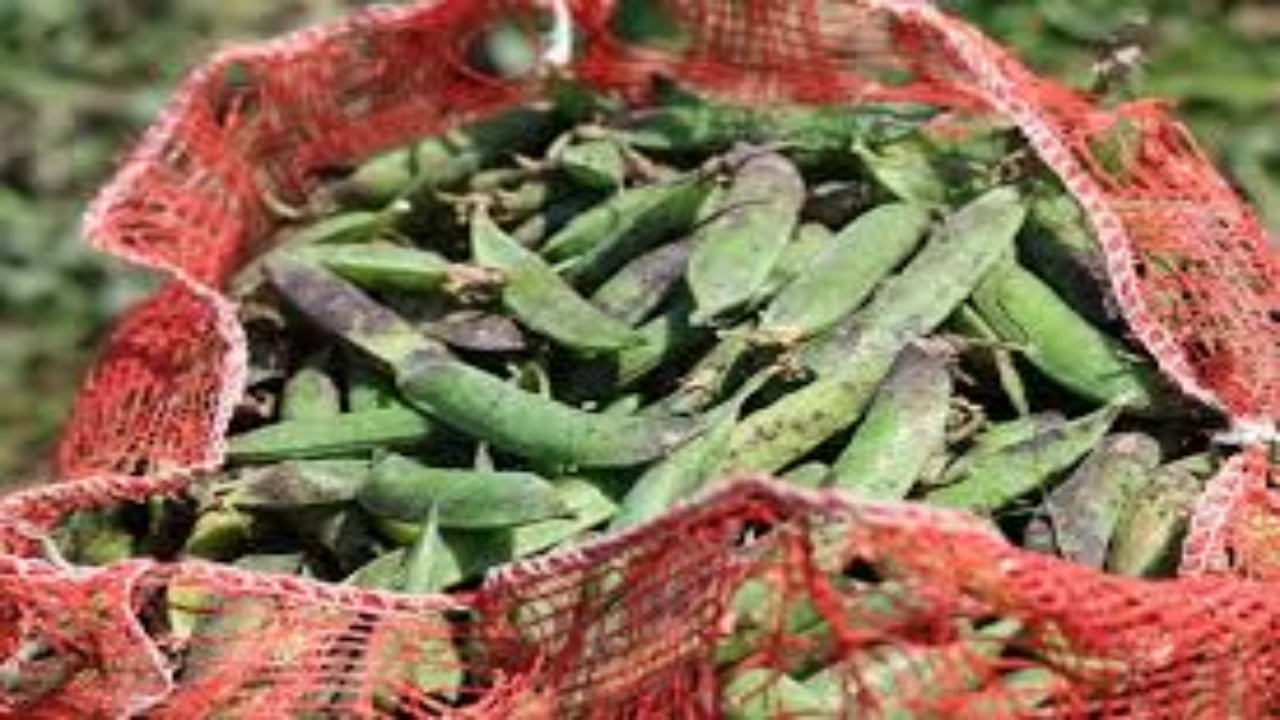 Foto - Adı "Mardin canavarı" kendi servet değerinde! Öyle bir talep var ki kapış kapış gidiyor