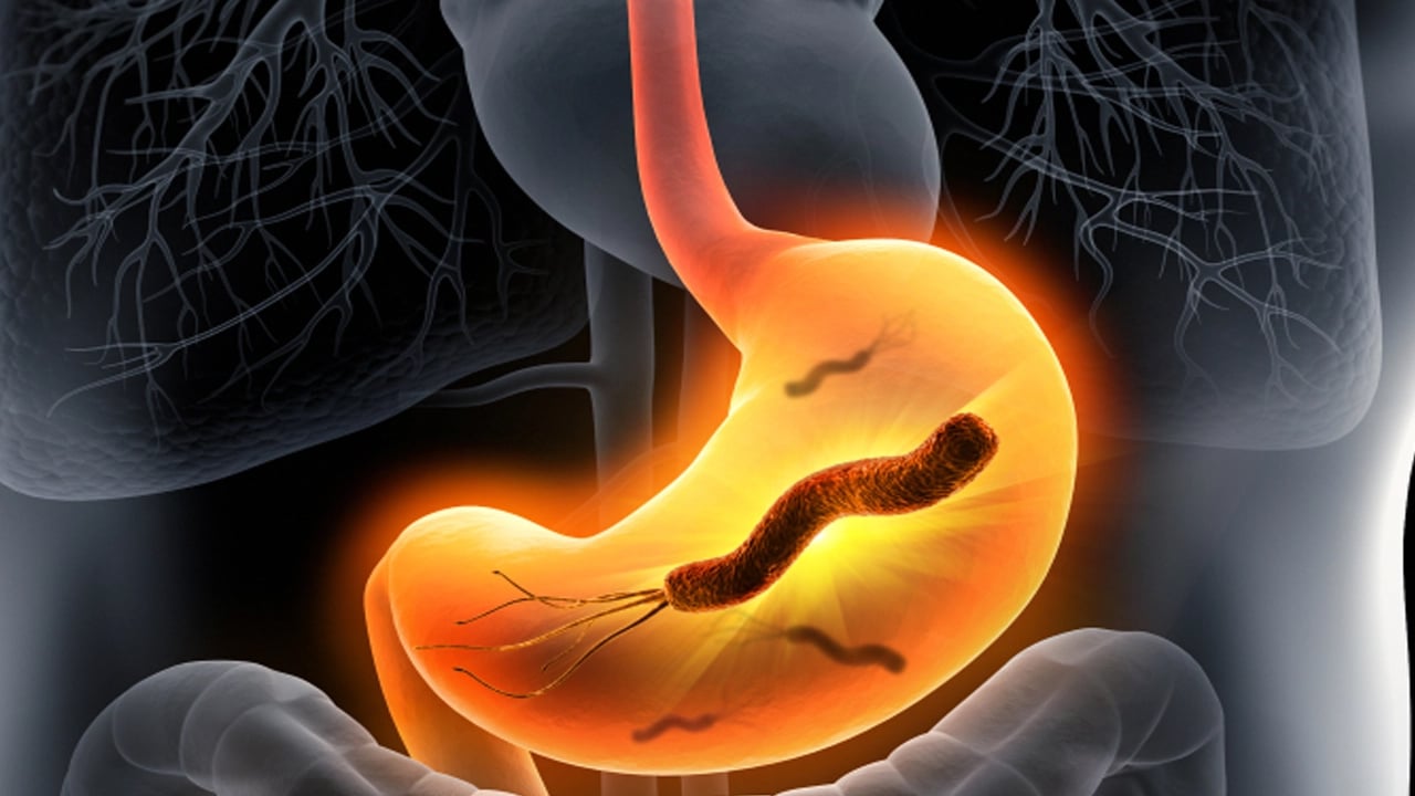 Foto - Otların padişahı her derde deva: Yemlik otu yemeği nasıl yapılır? 