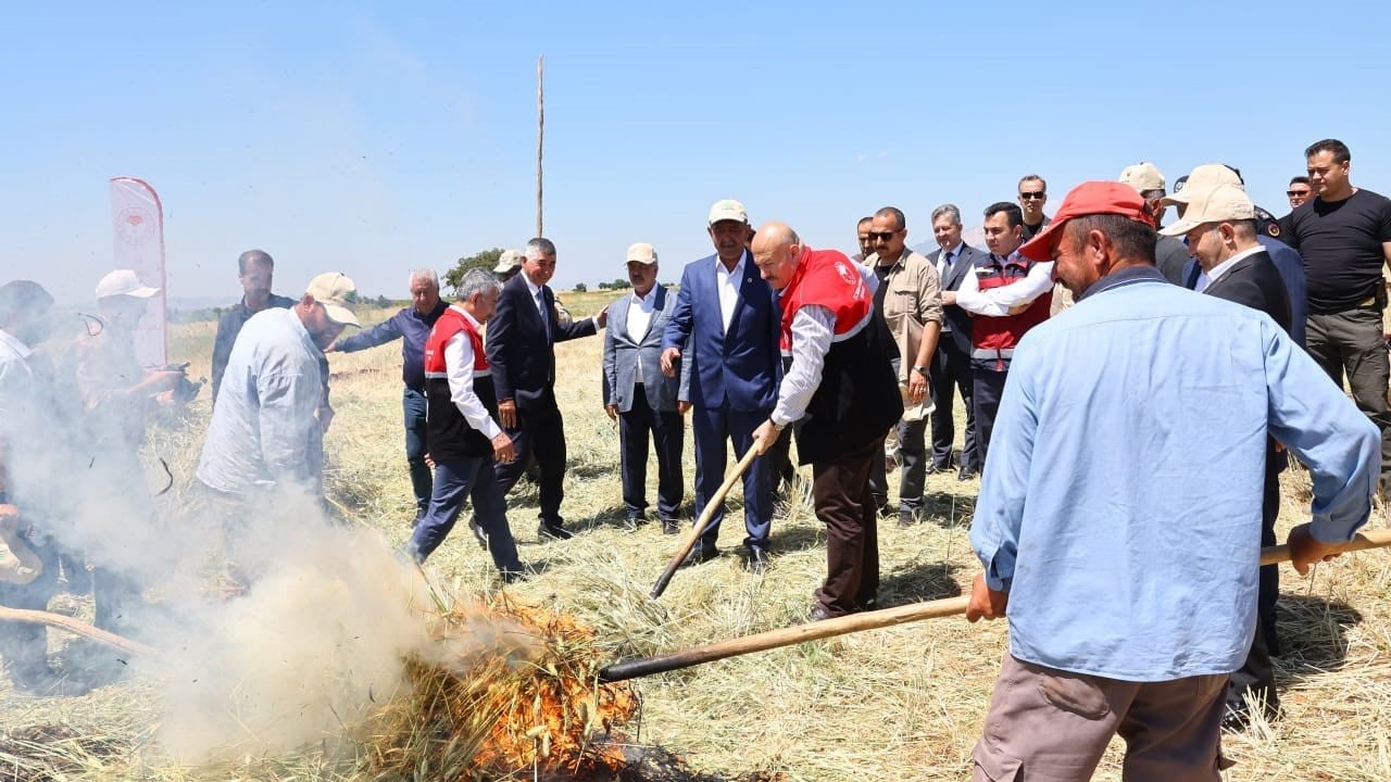 Foto - Adıyaman topraklarında firik bulgurunda bereket: Hasat başladı! Dedelerimiz boşuna yemiyormuş... Vali ziyaret etti 