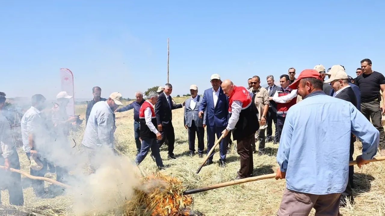 Foto - Adıyaman topraklarında firik bulgurunda bereket: Hasat başladı! Dedelerimiz boşuna yemiyormuş... Vali ziyaret etti 