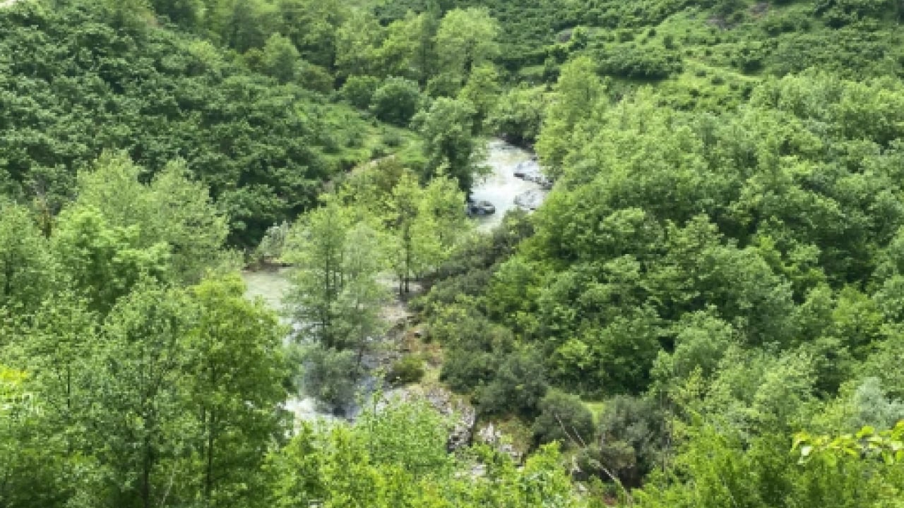 Foto - AFAD günlerdir her yerde arıyordu: 85 yaşındaki Türkan Yener ölü bulundu
