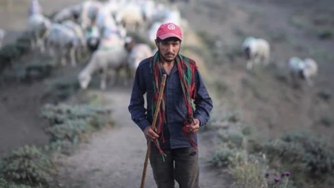 Foto - Afganistan'da Türkiye skandalı: Karaborsaya düşürdüler