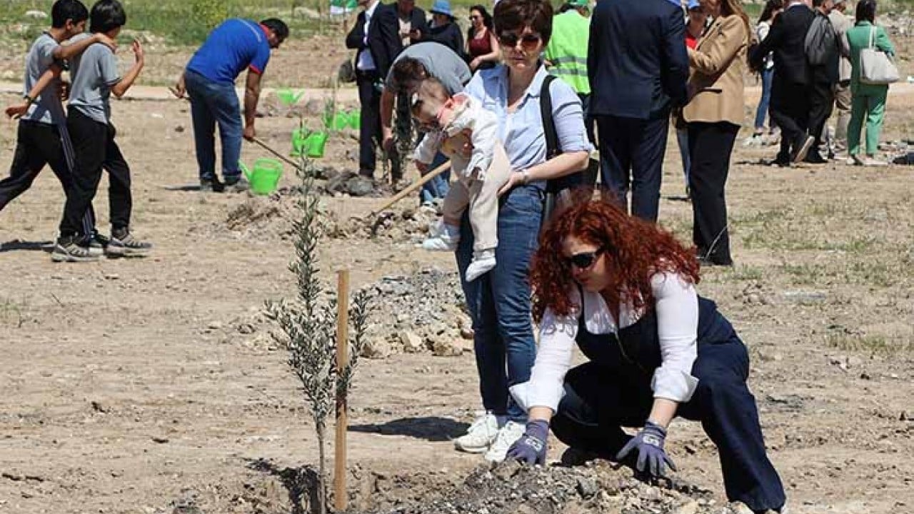 Foto - ‘Ağaclar kesiliyor’ diye tepinenlere duyurulur 4 bin zeytin fidanı dikildi