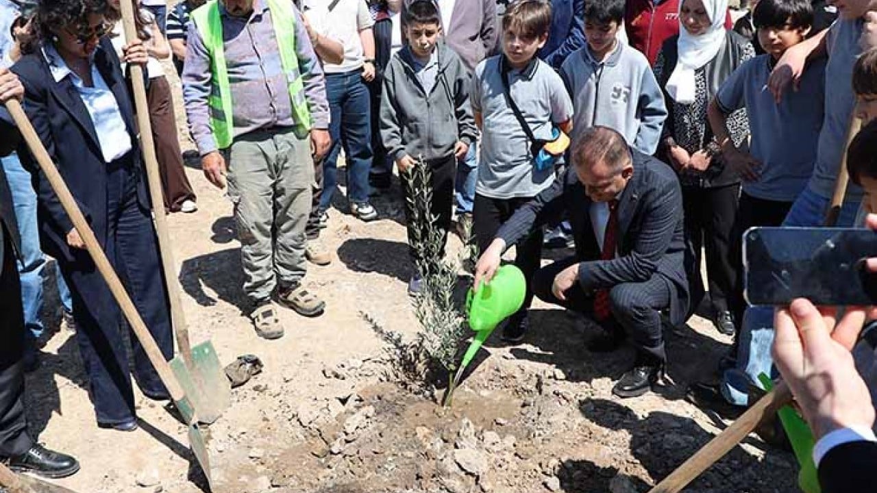 Foto - ‘Ağaclar kesiliyor’ diye tepinenlere duyurulur 4 bin zeytin fidanı dikildi