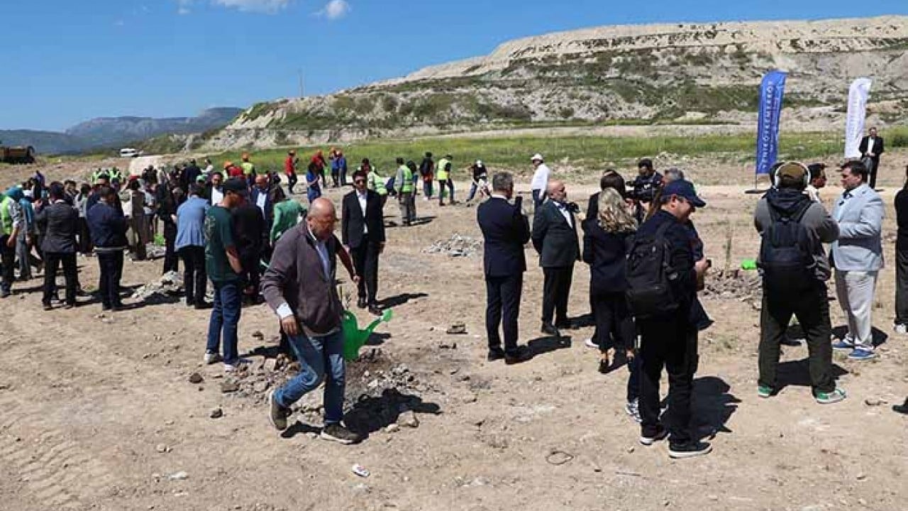 Foto - ‘Ağaclar kesiliyor’ diye tepinenlere duyurulur 4 bin zeytin fidanı dikildi