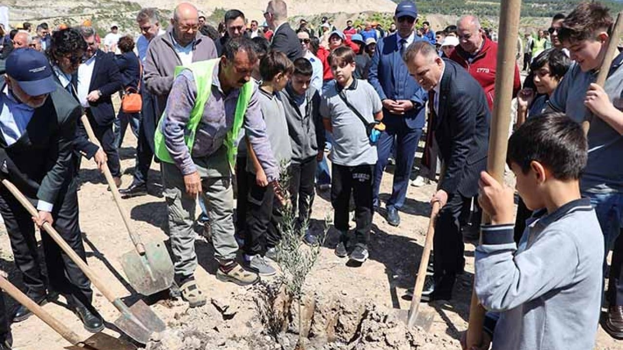 Foto - ‘Ağaclar kesiliyor’ diye tepinenlere duyurulur 4 bin zeytin fidanı dikildi