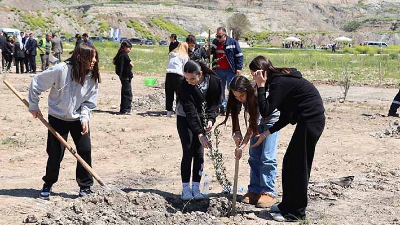 Foto - ‘Ağaclar kesiliyor’ diye tepinenlere duyurulur 4 bin zeytin fidanı dikildi