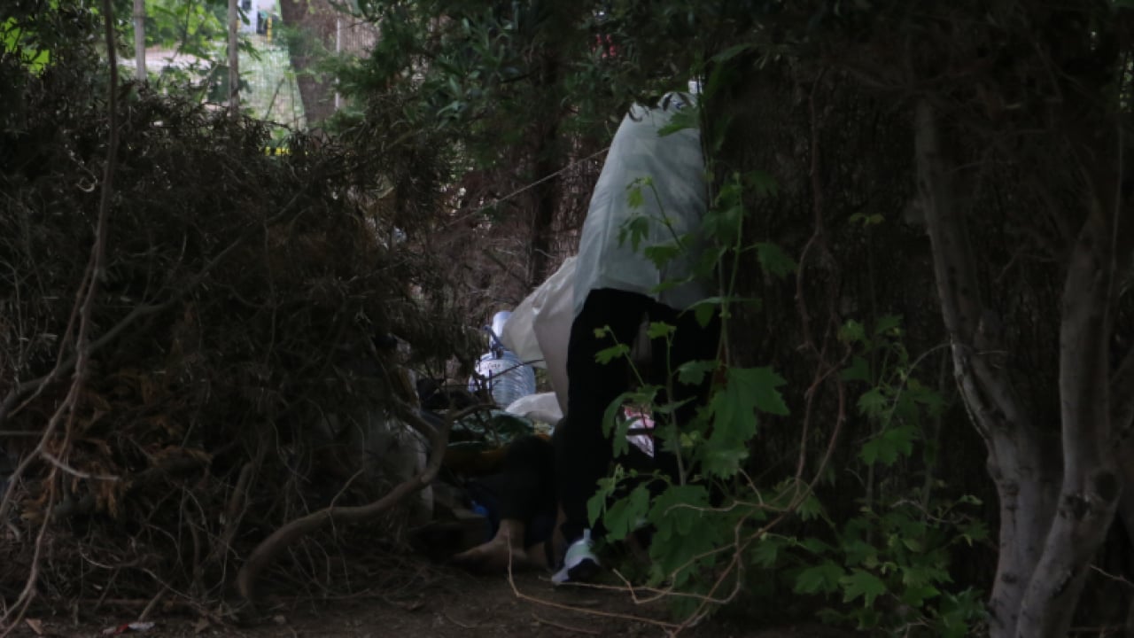 Foto - Ağaçlık alanda ölü bulundu: Kimliği yüz tanıma sistemiyle teşhis edildi