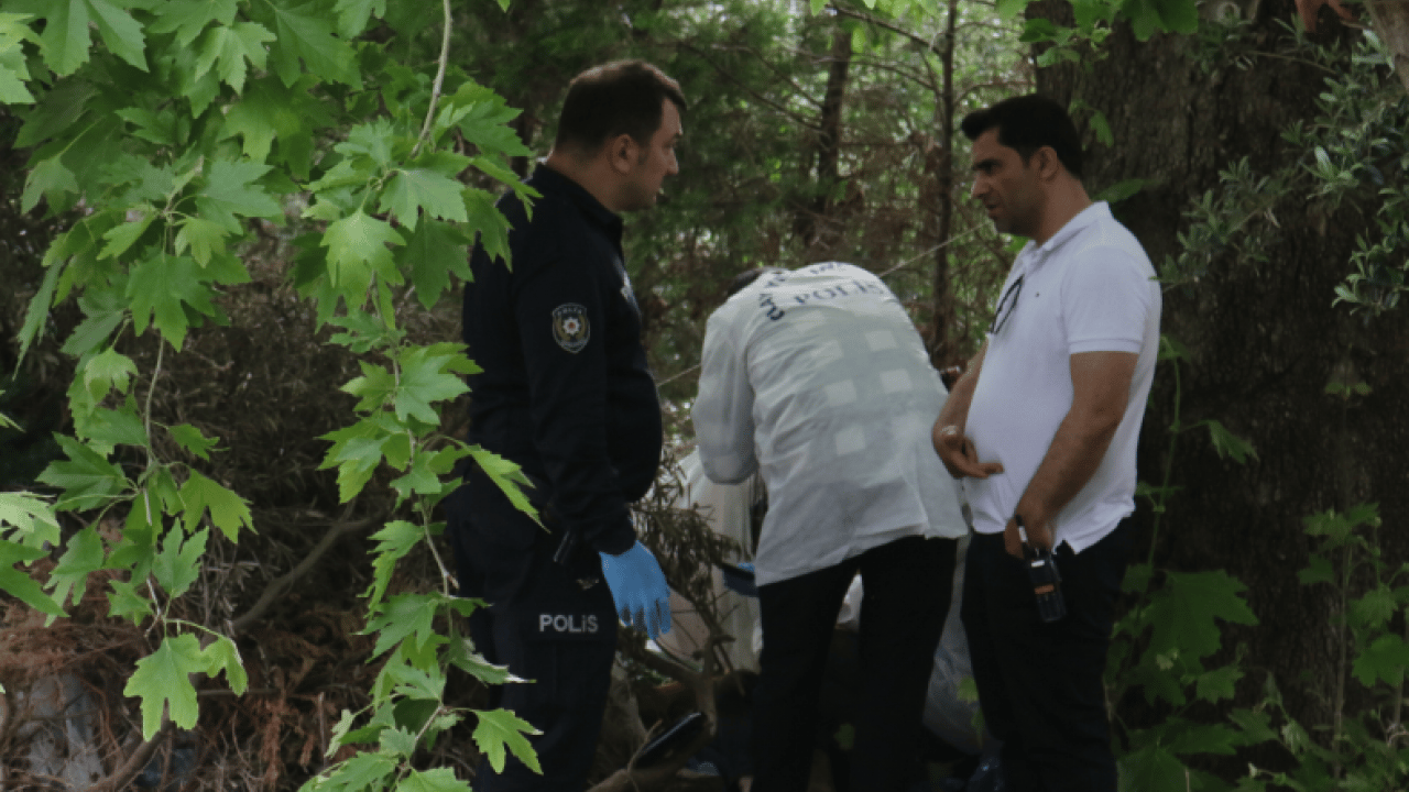 Foto - Ağaçlık alanda ölü bulundu: Kimliği yüz tanıma sistemiyle teşhis edildi