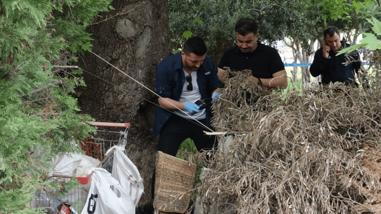 Foto - Ağaçlık alanda ölü bulundu: Kimliği yüz tanıma sistemiyle teşhis edildi