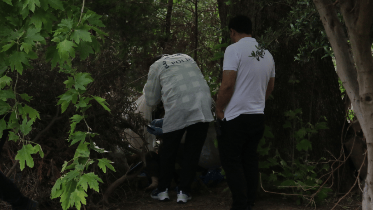 Foto - Ağaçlık alanda ölü bulundu: Kimliği yüz tanıma sistemiyle teşhis edildi
