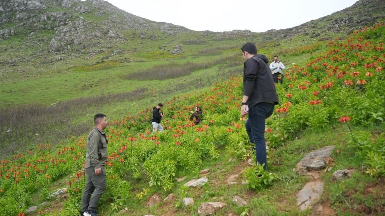 Foto - Ağlayan Gelin kopartanı fena ağlatacak!