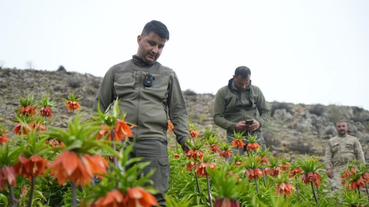 Foto - Ağlayan Gelin kopartanı fena ağlatacak!