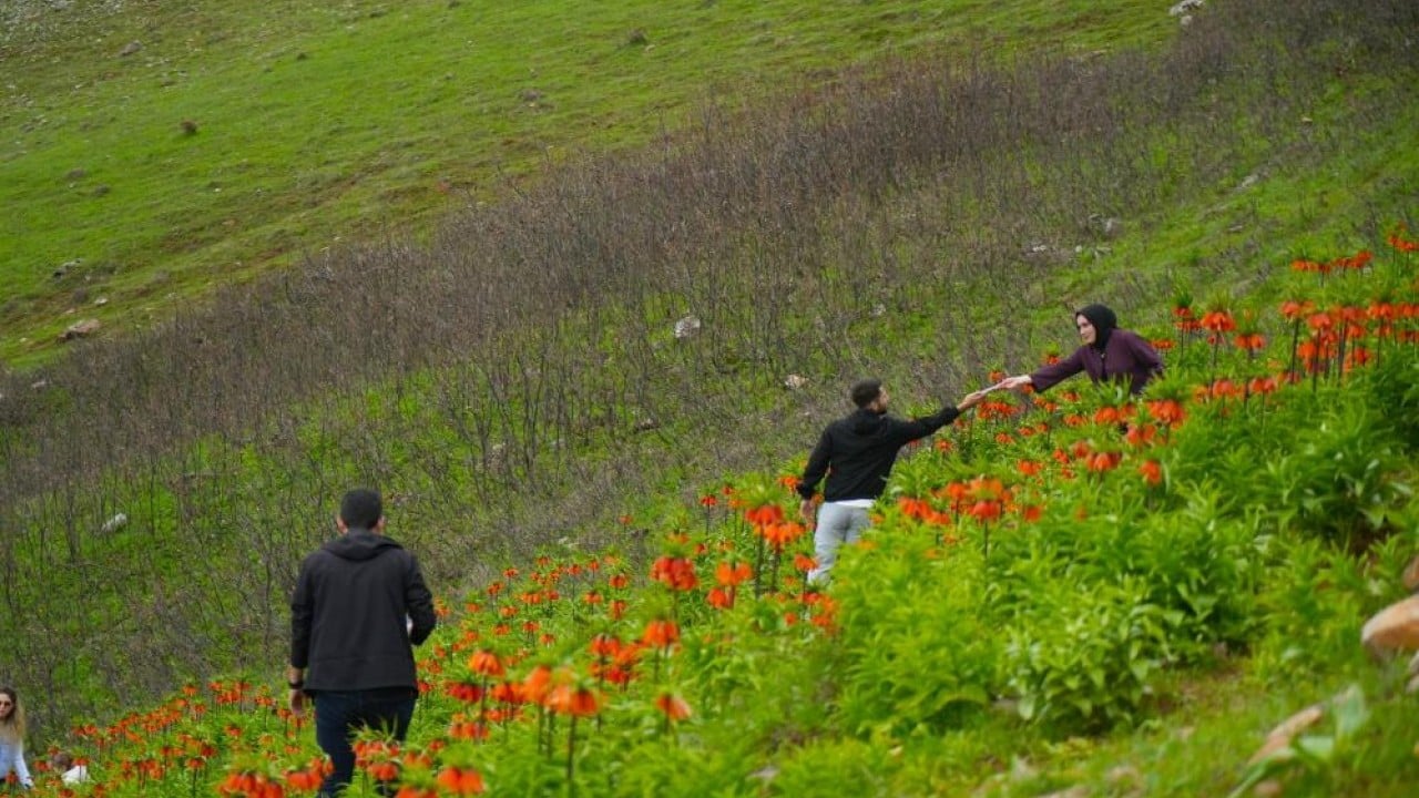 Foto - Ağlayan Gelin kopartanı fena ağlatacak!