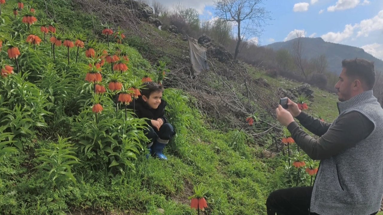 Foto - Ağlayan Gelinler yaylaları süsledi! Koparmanın cezası 700 bin lira