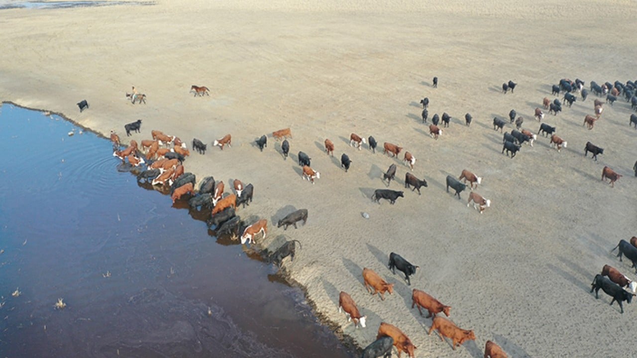 Foto - Ağrı Dağı'nın kovboyları