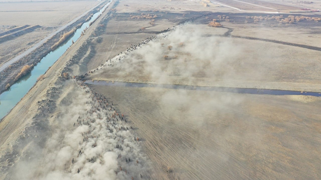 Foto - Ağrı Dağı'nın kovboyları