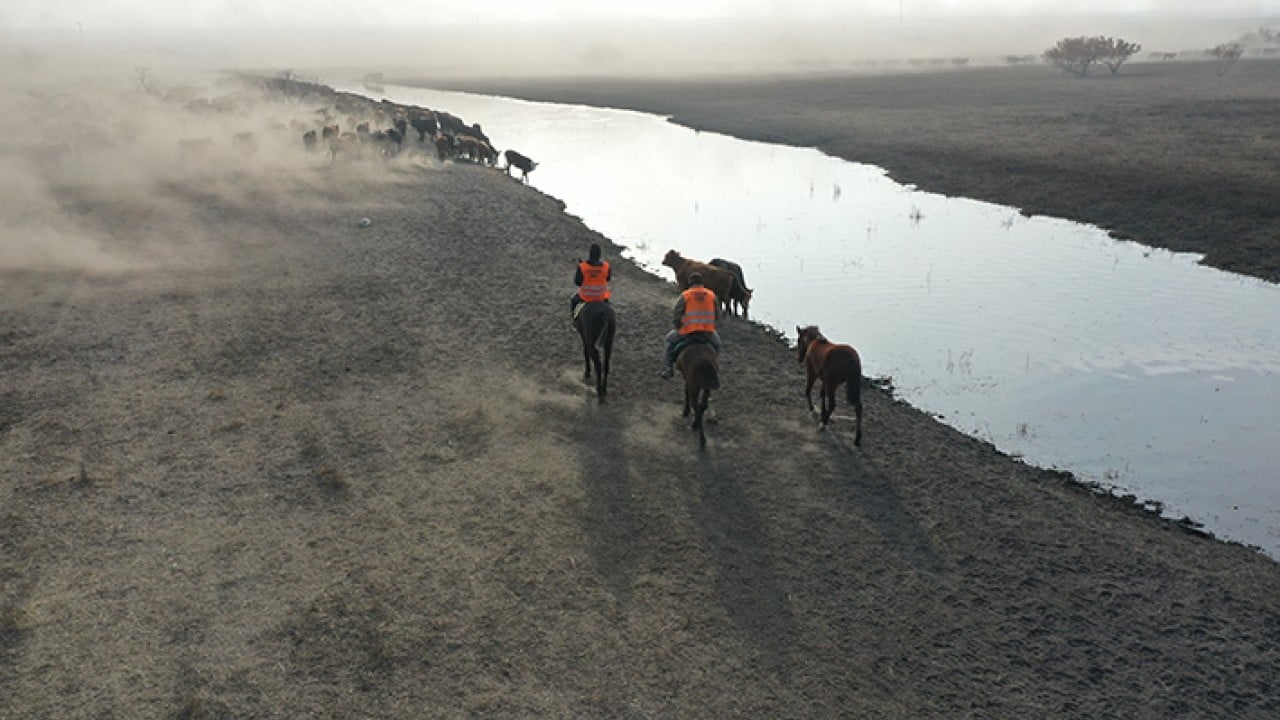 Foto - Ağrı Dağı'nın kovboyları