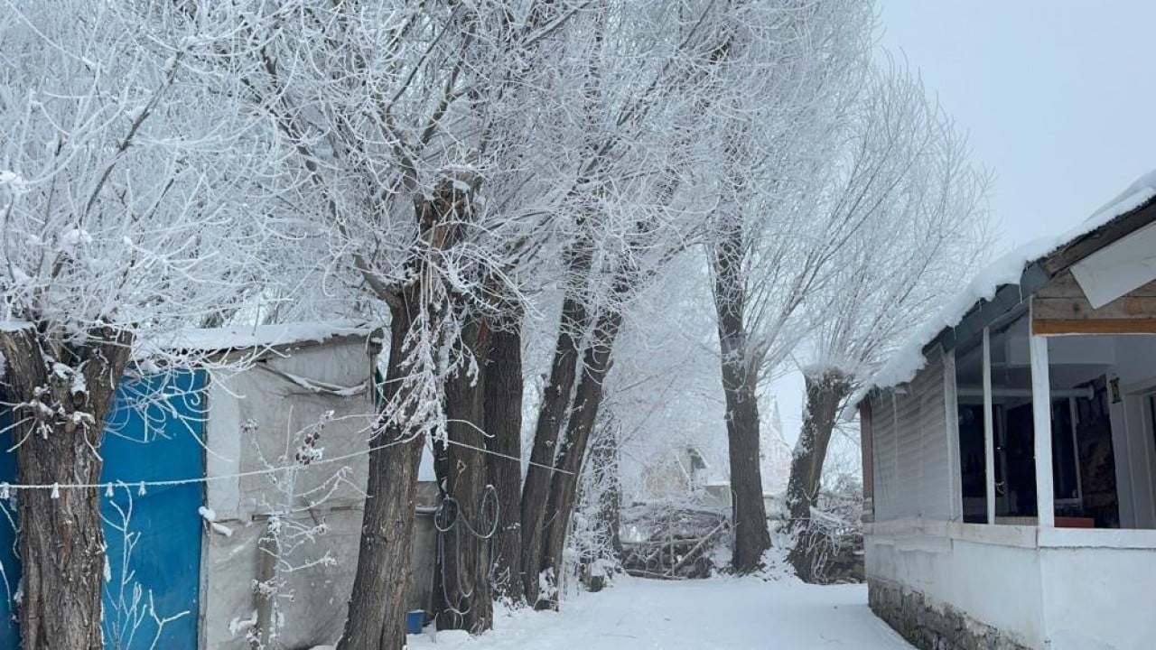 Foto - Ağrı eksi 24 ile buz kesti