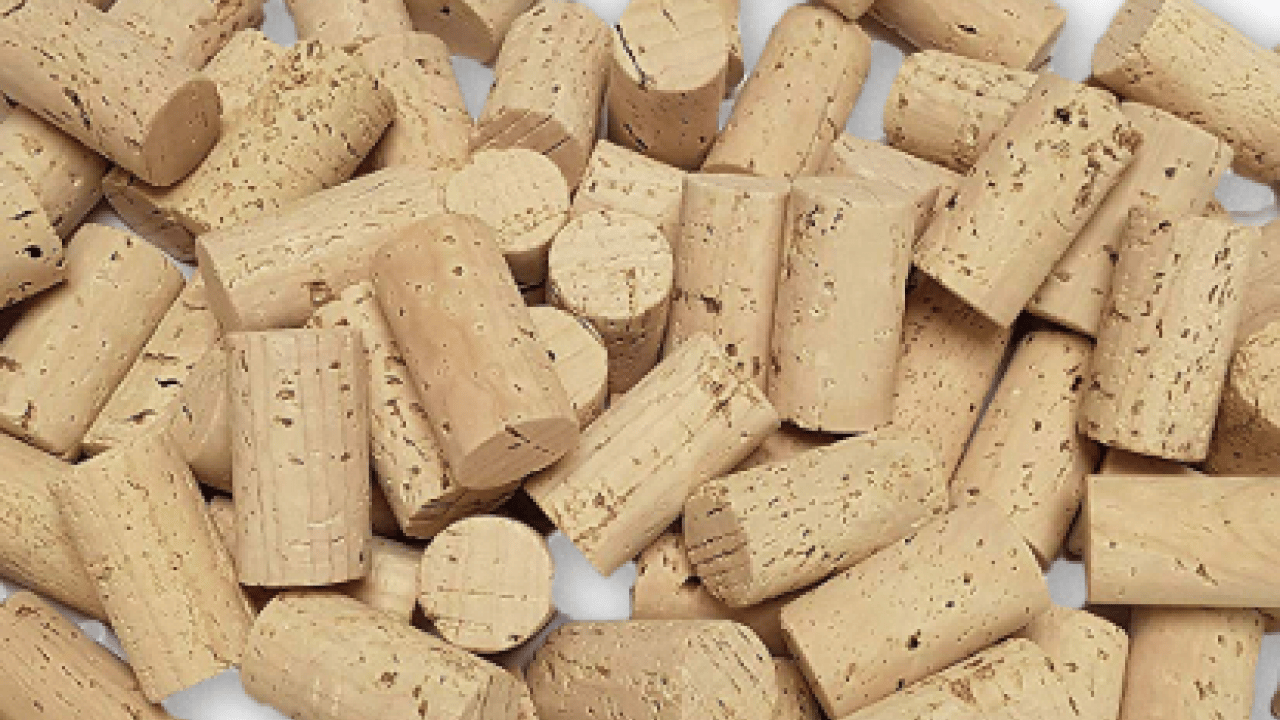 Foto - Ağzınıza bir tane mantar koyun yeter: Konuşma sorununa son veriyor!