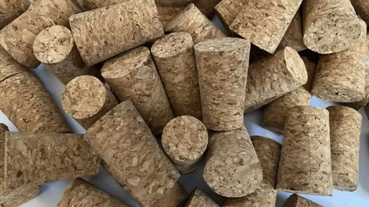 Foto - Ağzınıza bir tane mantar koyun yeter: Konuşma sorununa son veriyor!