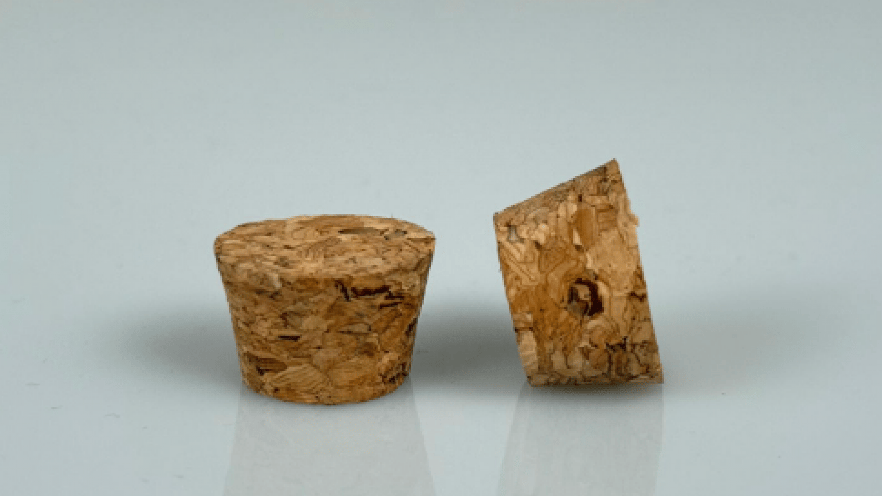 Foto - Ağzınıza bir tane mantar koyun yeter: Konuşma sorununa son veriyor!