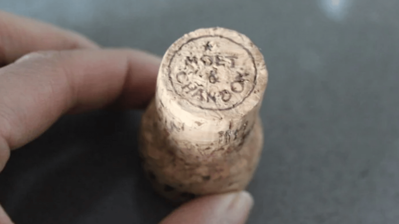 Ağzınıza bir tane mantar koyun yeter: Konuşma sorununa son veriyor!