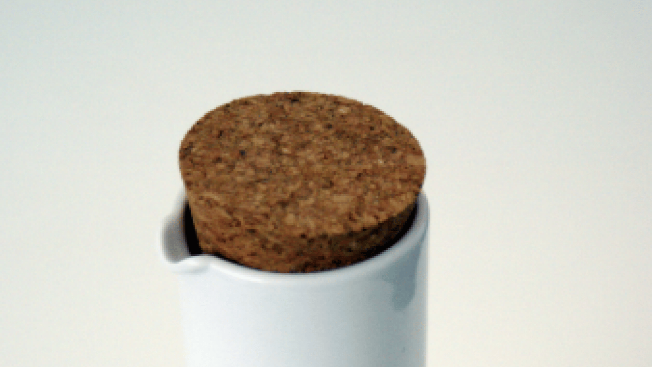 Foto - Ağzınıza bir tane mantar koyun yeter: Konuşma sorununa son veriyor!