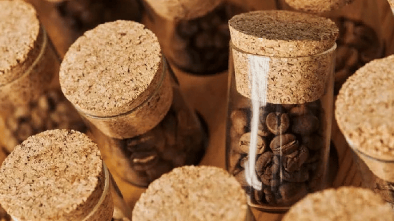 Foto - Ağzınıza bir tane mantar koyun yeter: Konuşma sorununa son veriyor!