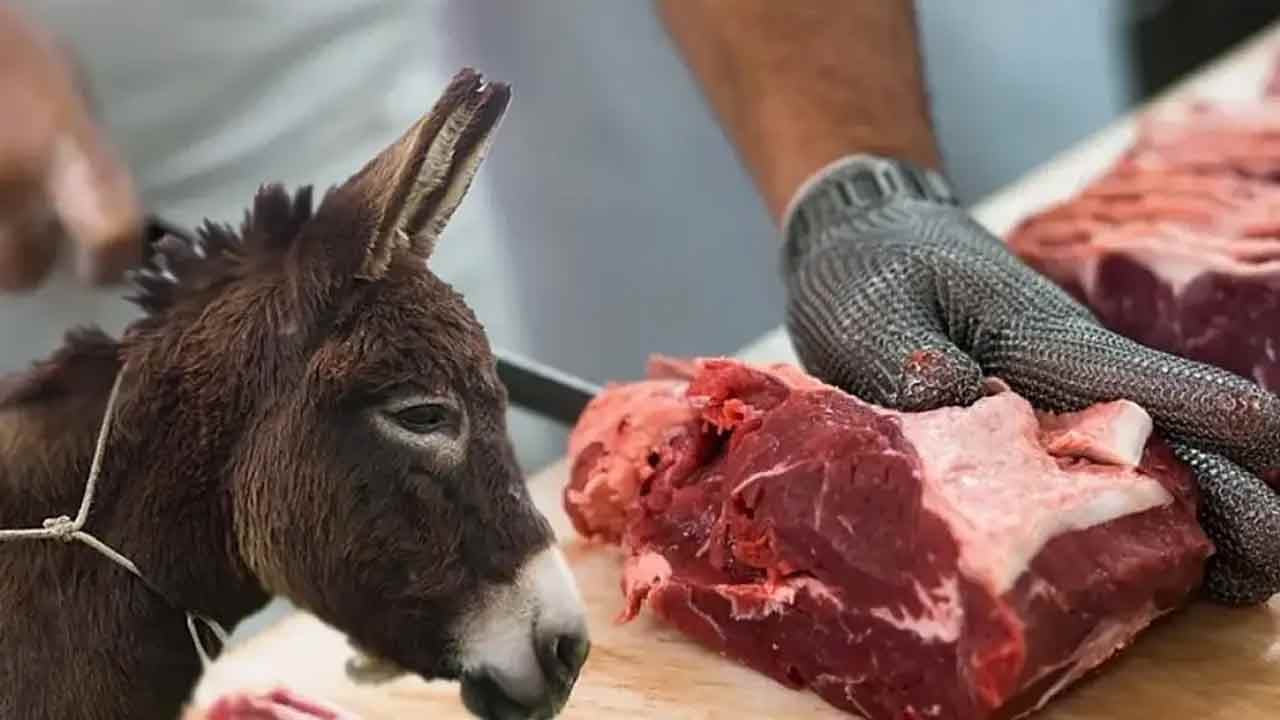 Foto - Ahlaksızlar bunu da yaptılar! Vatandaşa at ve eşek eti yedirdiler!