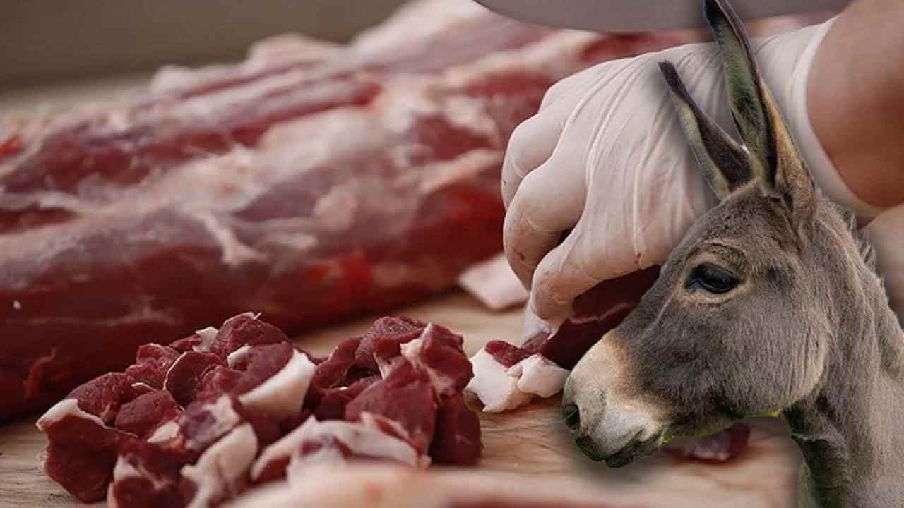Foto - Ahlaksızlar bunu da yaptılar! Vatandaşa at ve eşek eti yedirdiler!