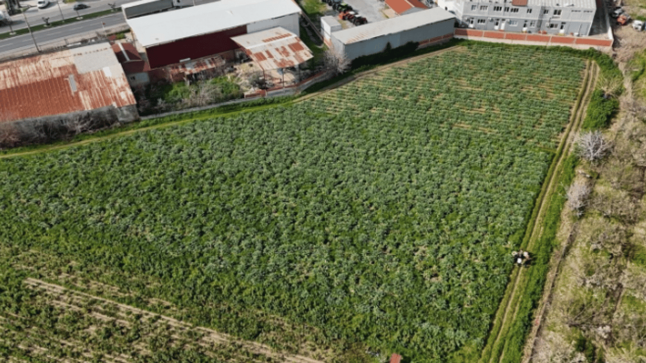 Foto - Ailece üretip internetten satıyorlar! Türkiye'nin dört bir yanından talep var