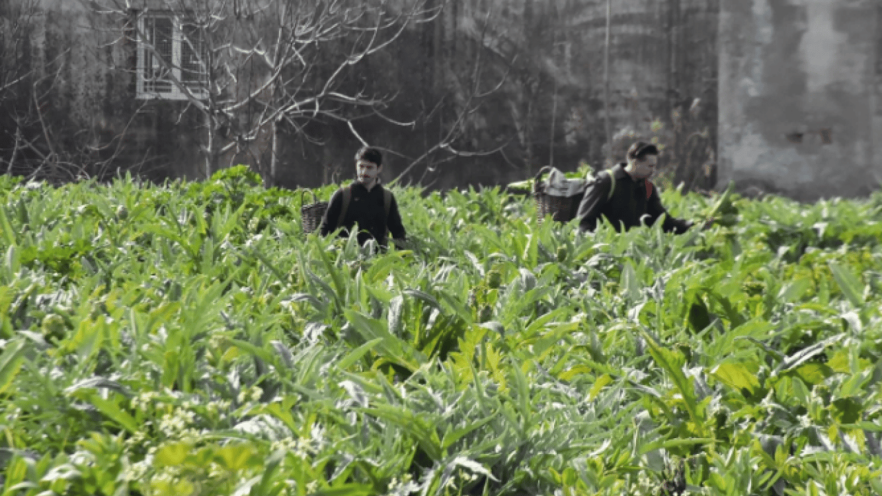 Foto - Ailece üretip internetten satıyorlar! Türkiye'nin dört bir yanından talep var