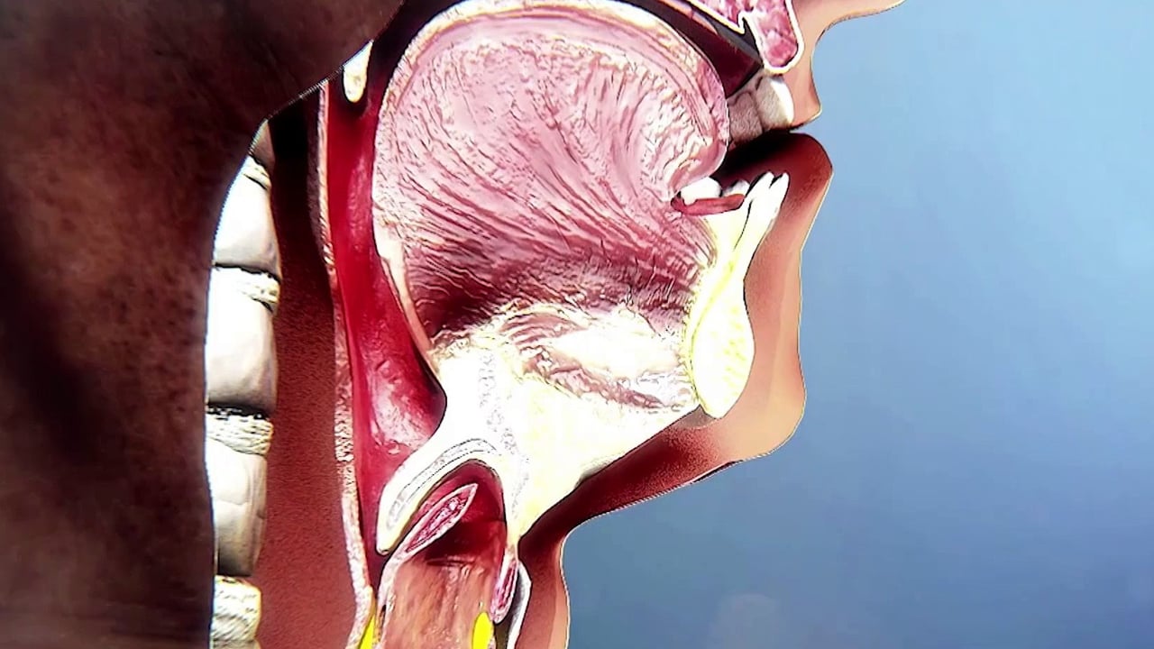 Foto - Akciğer kanseri belirtileri çok sinsi: Geçmeyen öksürük ve balgam uyarısı! Uzmandan tıbbi görüş ve öneri 