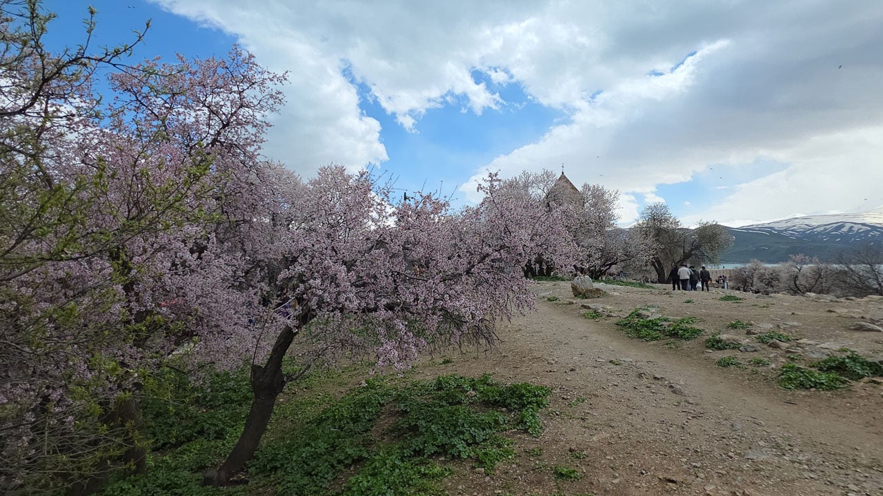 Foto - Akdamar Adası baharla renklendi! Van Gölü’nün incisinde kartpostallık manzara