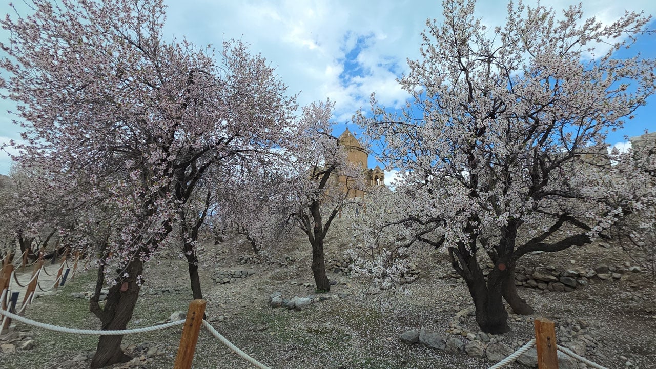 Akdamar Adası baharla renklendi! Van Gölü’nün incisinde kartpostallık manzara