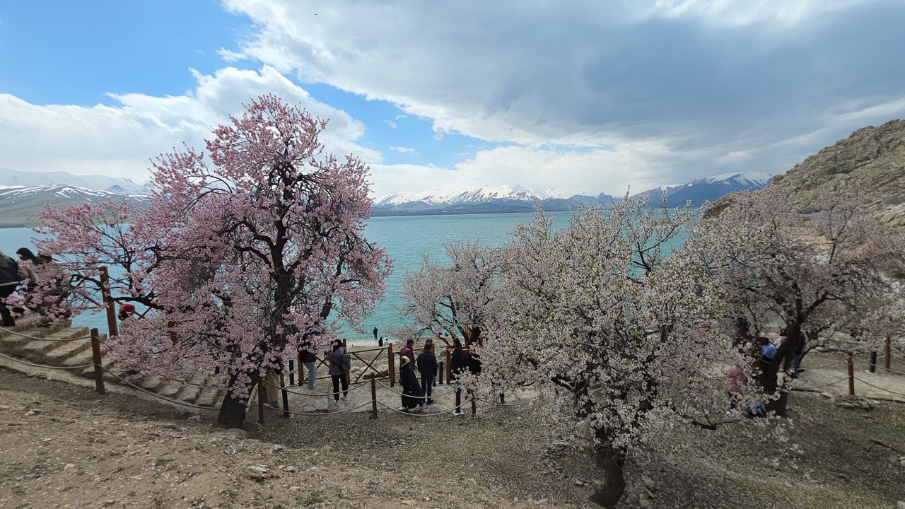 Foto - Akdamar Adası baharla renklendi! Van Gölü’nün incisinde kartpostallık manzara